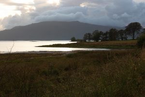 Photo of loch side with trees and hill in distance