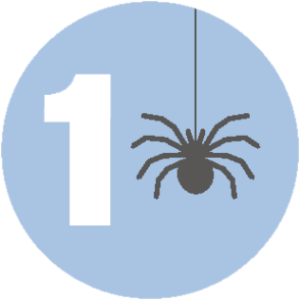 Image of number 1 and a spider