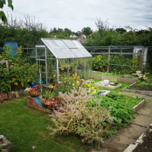 Allotment with greenhouse in the centre