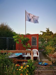 Allotment with flag flying over shed