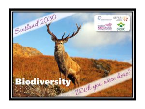 Scotland 2030 Postcard - Wish You Were Here - Biodiversity